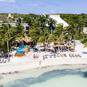 Mayan Monkey - Social (adults Only) México